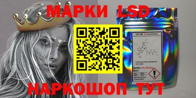 PSILOCYBIN Моздок