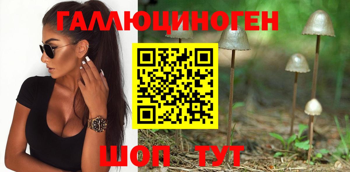 Десногорск  Псилоцибиновые грибы MAGIC MUSHROOMS  Псилоцибиновые грибы прущие грибы  Вход с VPN 